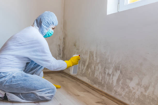 Commercial Mold Remediation assessment for commercial property in Gainesville